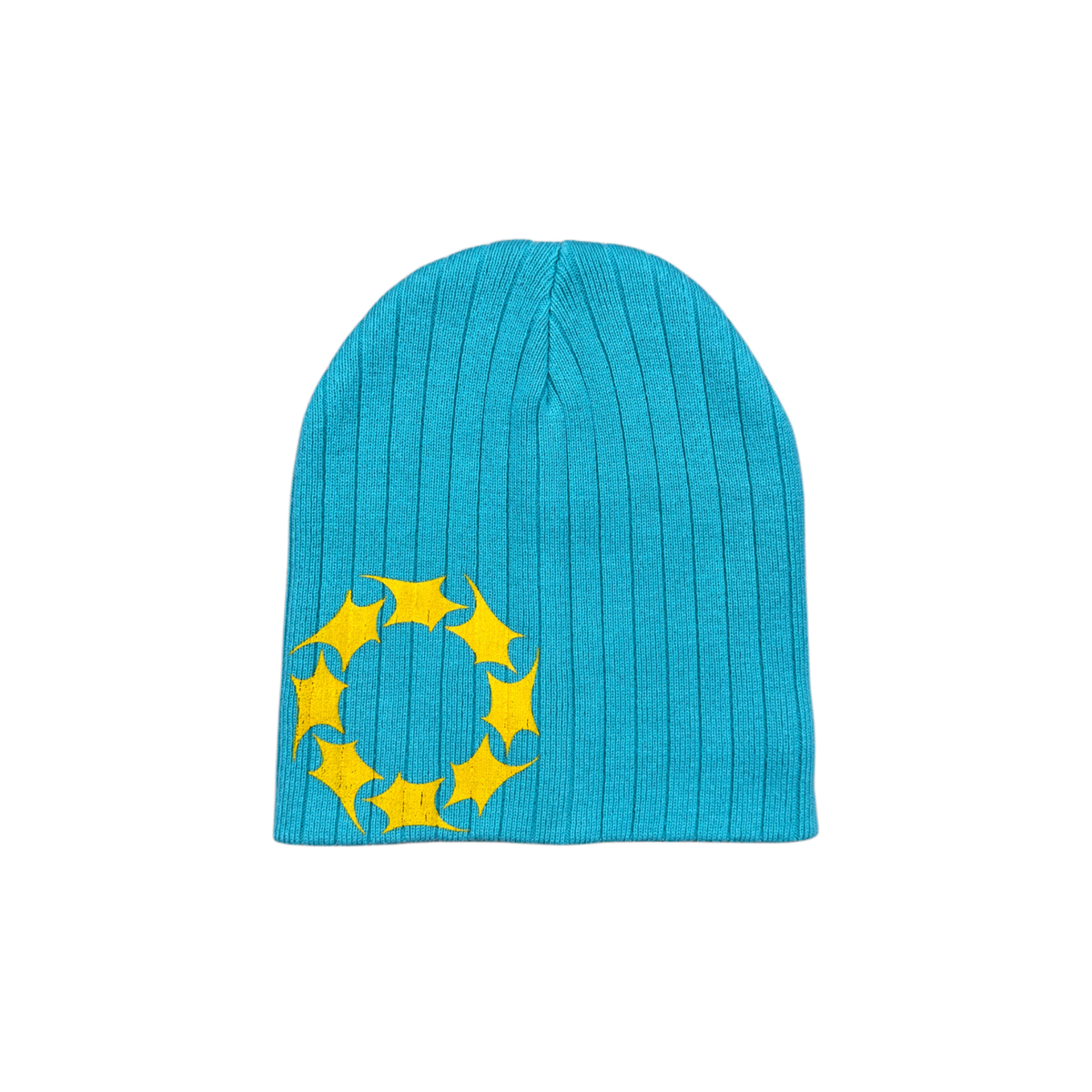 AQUA STUNT BEANIE